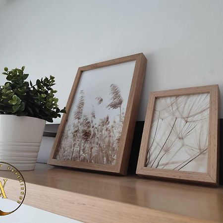 Apartamento Para 5-6 Personas - Las Vistillas Lägenhet San Vicente de la Sonsierra Exteriör bild